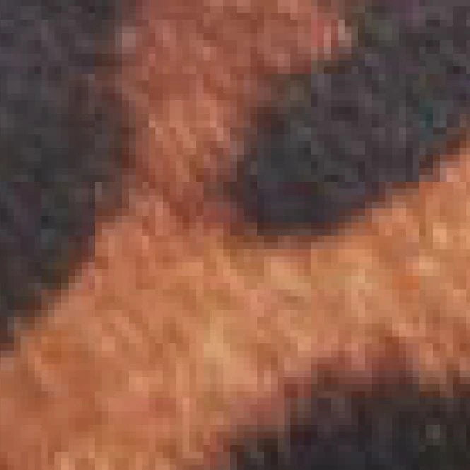 Kinsley Leopard Leopard Pony 6 Kinsley Leopard Leopard Pony - Image 6