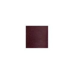 Sasskia Burgundy Leather -Step In Trendy Style sasskia burgundy leather p10896 75378 medium